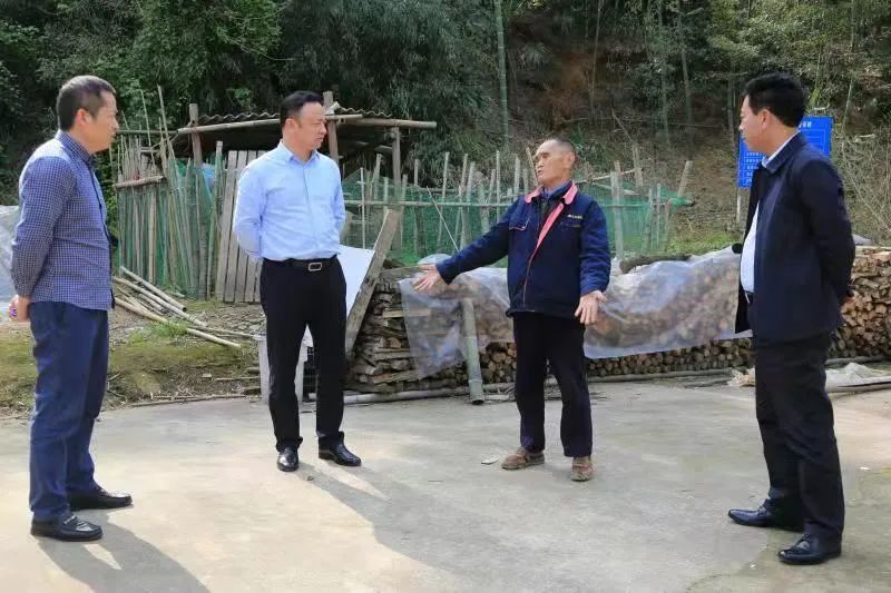常德高新区开展地质灾害防治和生态修复调研督导工作