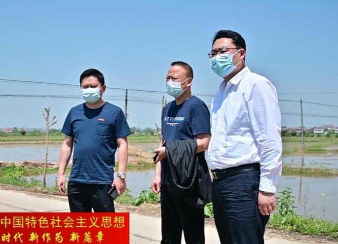陈远到谢家铺镇、镇德桥镇督导春耕生产工作