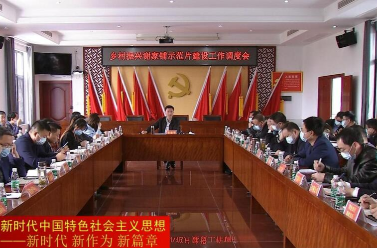 朱金平调度乡村振兴谢家铺示范片建设工作