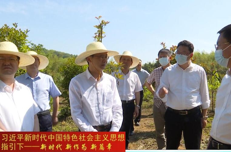 曹志强、周振宇在鼎城调研时强调:以“钉钉子”精神推进尾矿库污染防治工作