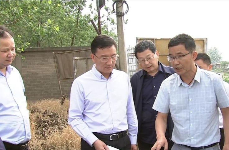 朱金平调度澧水洪道采砂相关工作