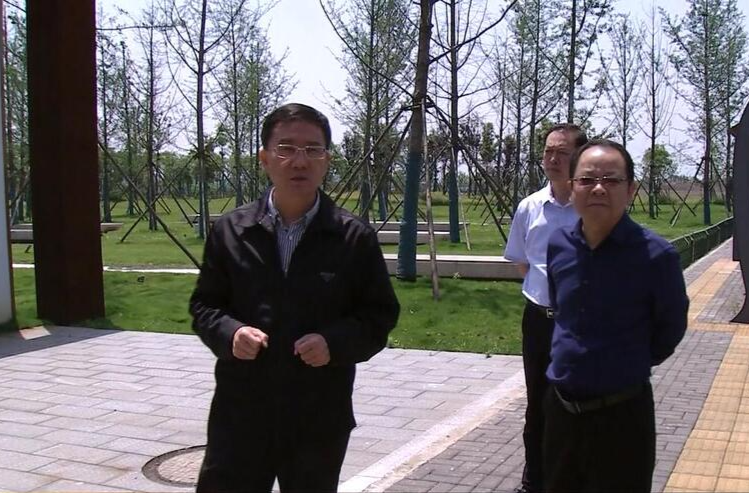 朱金平调研阳明湖板块建设工作