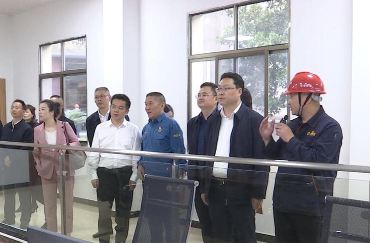 陈远到湖南辰州矿业有限公司招商考察
