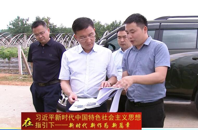 朱金平调研文甲公路建设工作