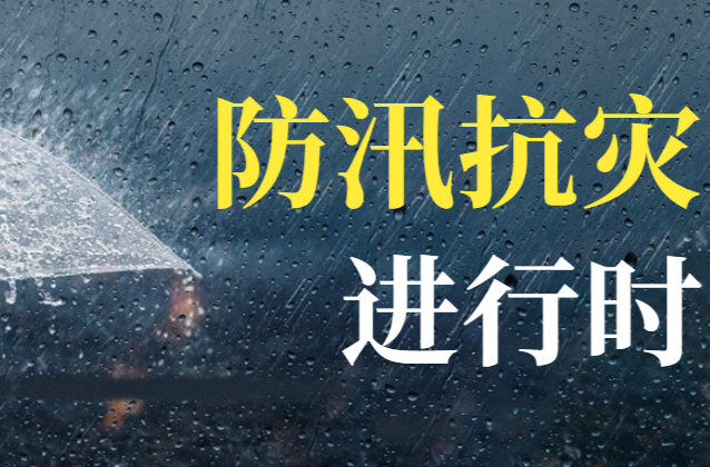 图文直播丨直击鼎城干群防汛抗灾一线