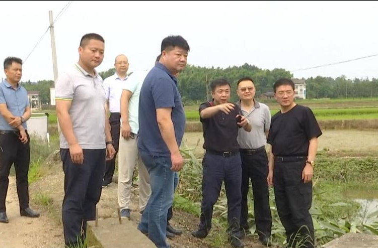 朱金平调研水毁工程修复工作和农田受灾情况