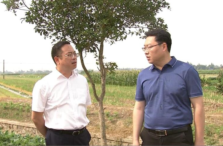 陈远调研后河片区耕地保护、人居环境整治、自建房排查整治等工作