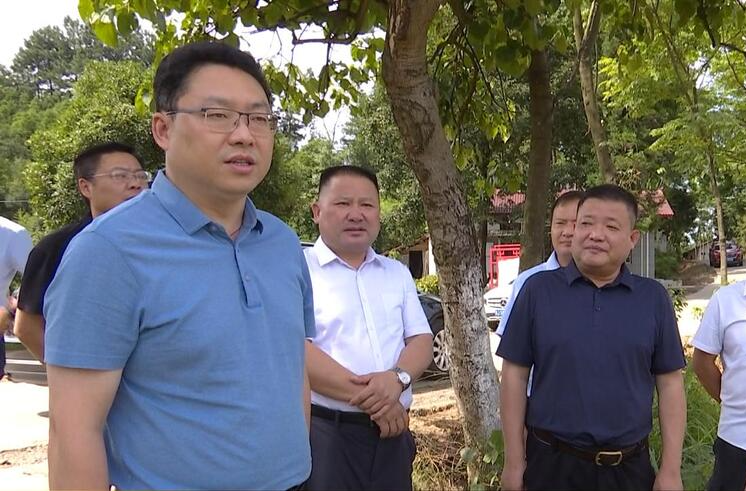 陈远到谢家铺镇调研违法用地整改和乡村振兴工作