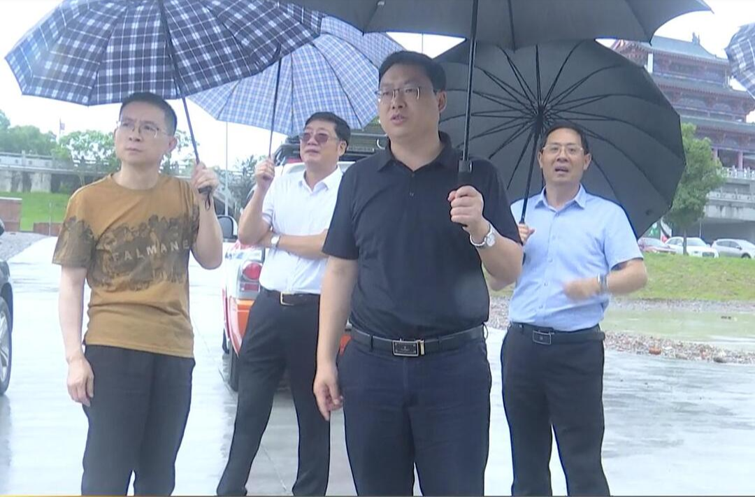 陈远调研城镇更新提质工作