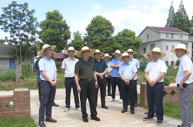 朱金平到中河口镇北洲村调度乡村振兴工作