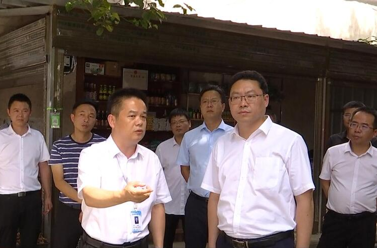 陈远督导全国文明城市创建工作