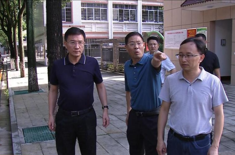 朱金平调研城乡低洼易涝点整治工作