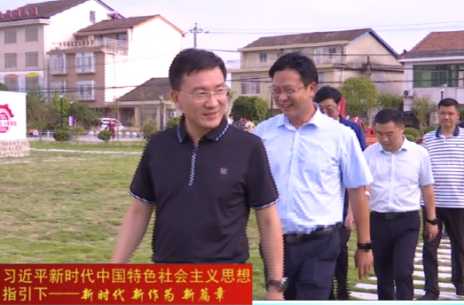 朱金平调研城镇更新提质工作