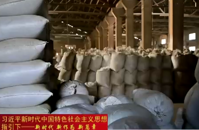 朱金平调研大气污染防治及中元节禁燃禁烧工作