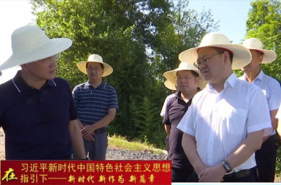 周振宇来鼎城检查防旱抗灾工作