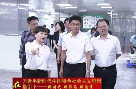 曹志强、周振宇带队来鼎城调研走访农产品精深加工企业