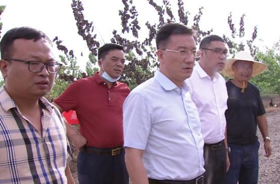 朱金平到十美堂镇调研指导防旱抗旱工作