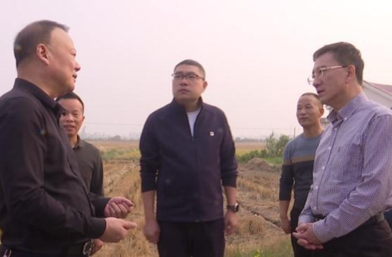 朱金平到十美堂镇调研油菜种植扩面工作