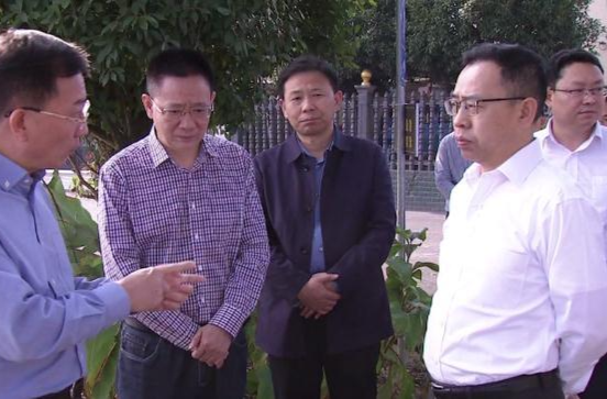 省乡村振兴局领导来鼎城调研