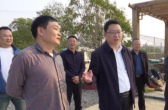 陈远到乡村振兴示范片点村调研