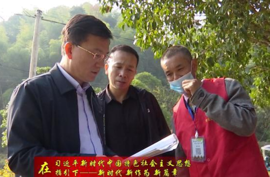 朱金平督导党的二十大精神学习贯彻、森林防灭火、全国文明城市创建等工作