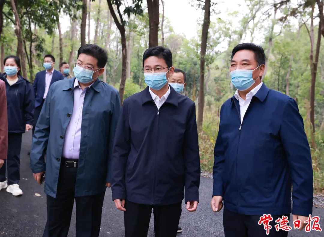 曹志强督导疫情防控、森林防灭火和安全生产工作