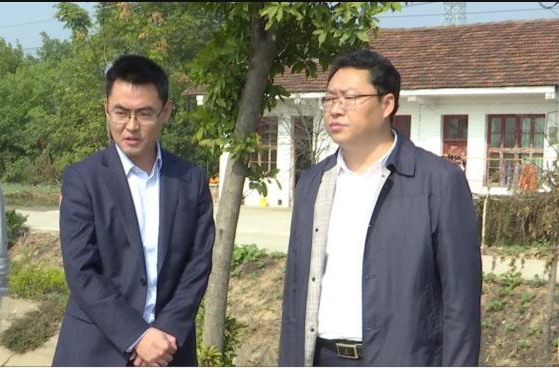陈远调研水利秋冬修、农业秋冬种等工作