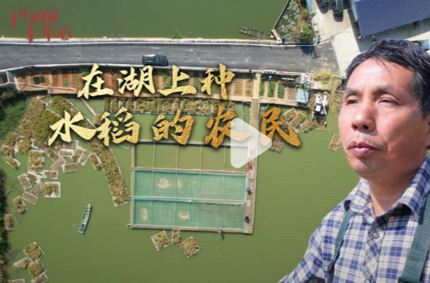 《十年家國(guó)十年心》第八十四集丨在湖上種水稻的農(nóng)民