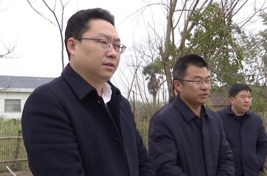 陈远督导检查耕地“非农化”、“非粮化”问题整改工作