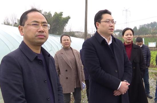 陈远到镇德桥镇走访调研