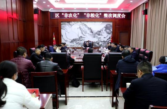 陈远调度耕地“非农化”“非粮化”整改工作