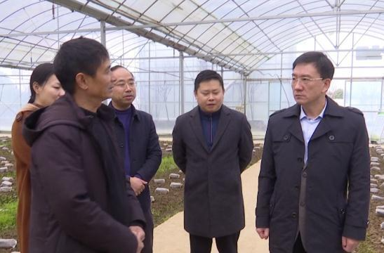 朱金平督导春耕备耕和高标准农田建设工作