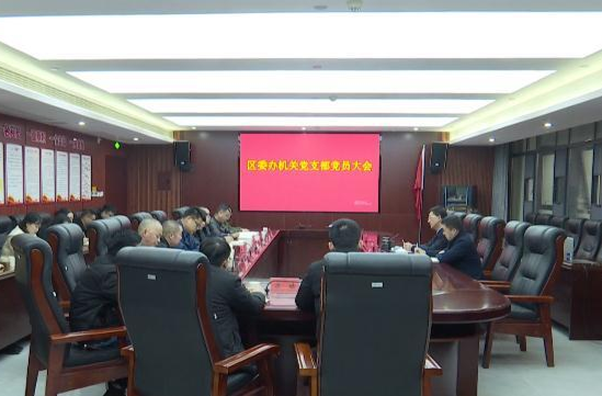 朱金平以普通党员身份参加区委办机关党支部党员大会