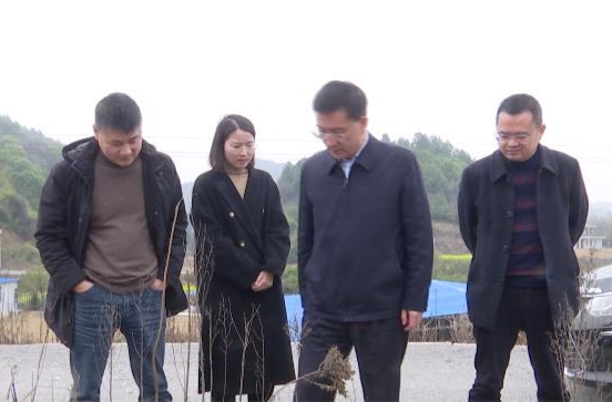 朱金平到灌溪镇和石板滩镇督导春耕生产等工作