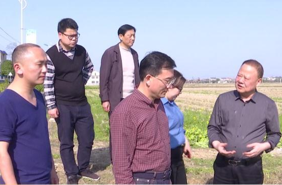 朱金平到谢家铺镇督导春耕生产及耕地“非农化”“非粮化”整改工作