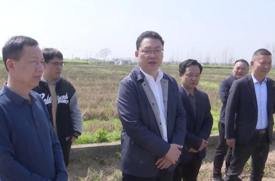 陈远到韩公渡镇、十美堂镇督导春耕生产及耕地“非农化”“非粮化”整改工作