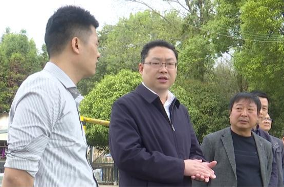 陈远督导春耕生产工作