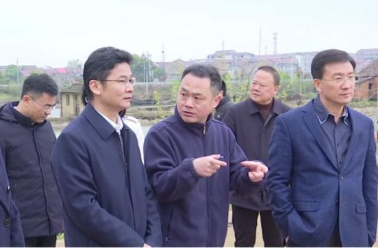 曹志强来鼎城调研春耕备耕、高标准农田建设工作