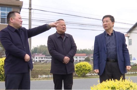 朱金平到谢家铺镇督导春耕生产及耕地“非农化”、“非粮化”整改等工作