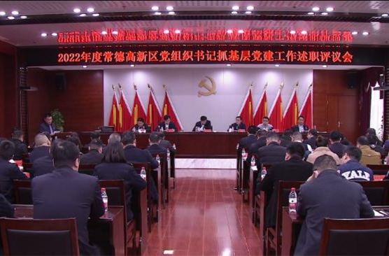 2022年度常德高新区党组织书记抓基层党建工作述职评议会举行