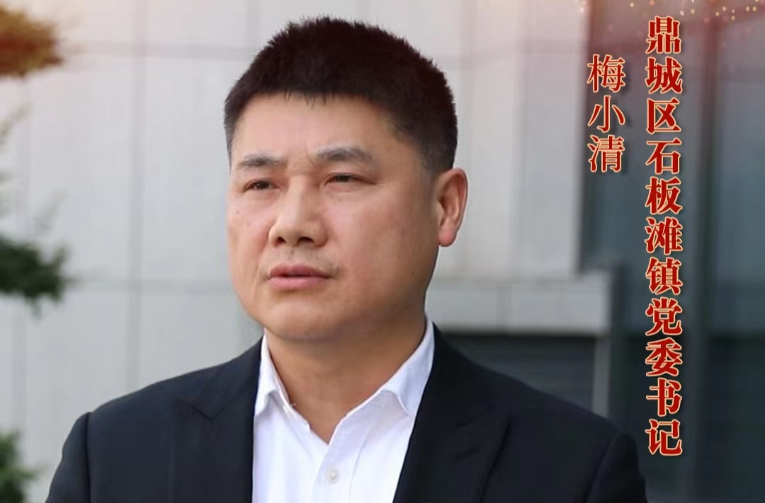 【创新突破 产业突围】系列访谈丨 鼎城区石板滩镇