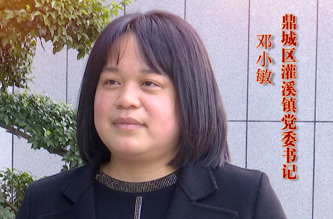 【创新突破 产业突围】系列访谈丨鼎城区灌溪镇
