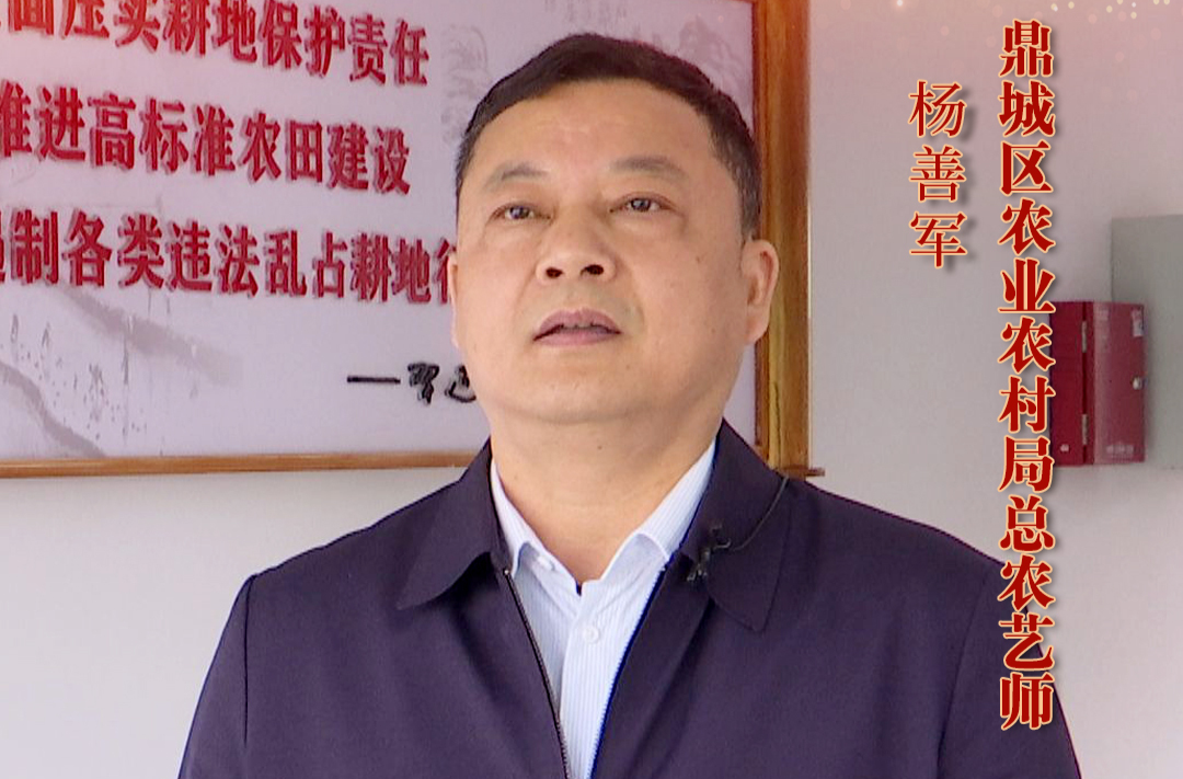 【创新突破 产业突围】系列访谈丨鼎城区农业农村局