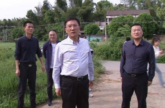 朱金平到许家桥回维乡督导林长制田长制工作落实情况