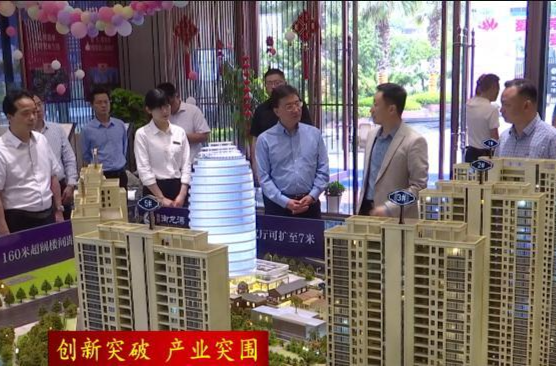 朱金平到常德高新区调度项目建设、税收收入及护税协税工作