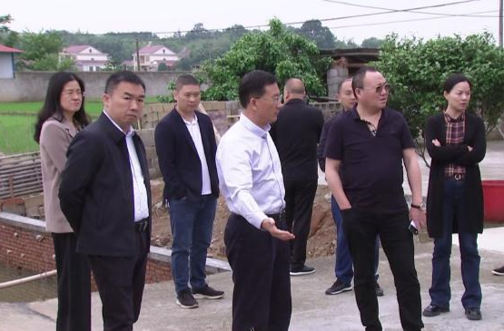 朱金平：立足打造“三个基地” 加快推进谢家铺全域乡村振兴示范片建设