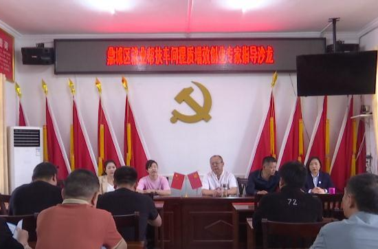 鼎城：就业帮扶车间提质行动走进花岩溪镇