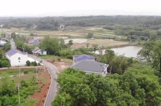 鼎城：共建共护“四好农村路”     做活产业发展新文章
