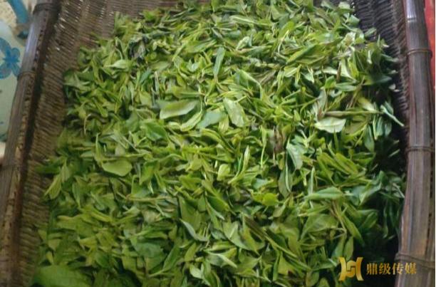 黄土店镇：村民代表网络销茶 助力乡村振兴