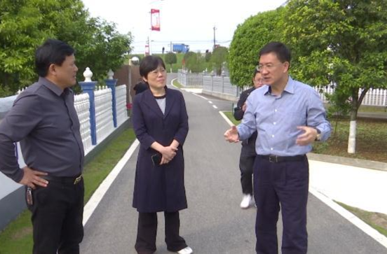 朱金平到石板滩镇、蔡家岗镇调研生态环境治理成果巩固和乡村振兴工作